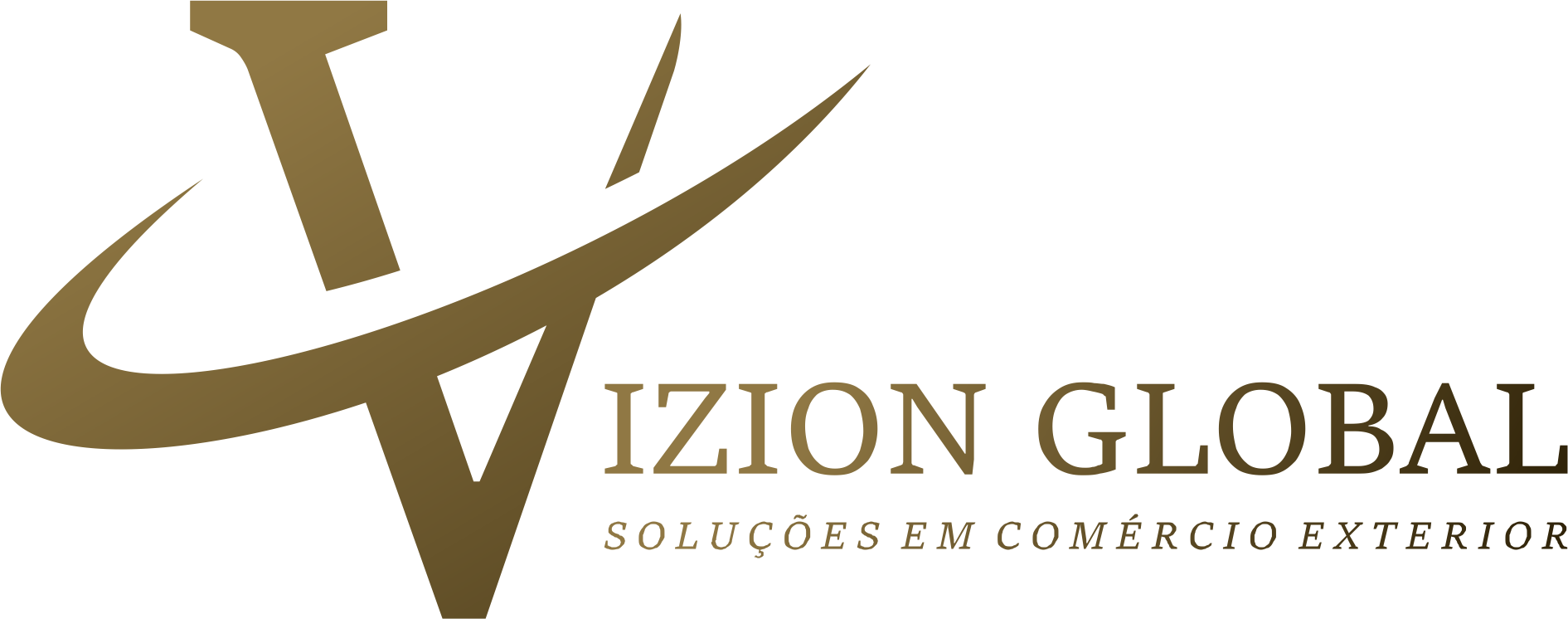 Logo Vizion